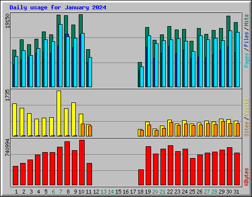 Daily usage for January 2024