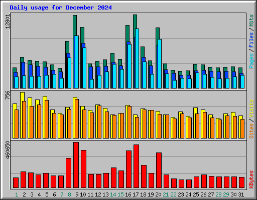 Daily usage for December 2024