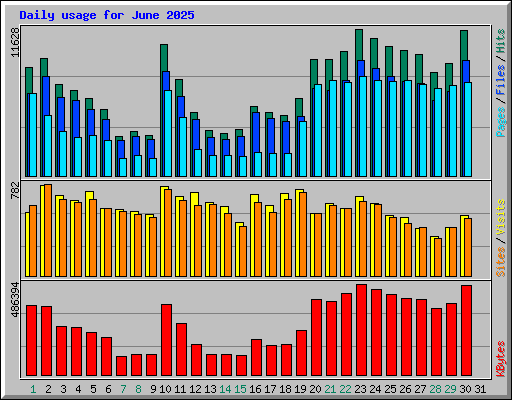 Daily usage for June 2025