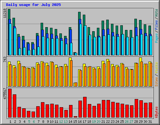 Daily usage for July 2025