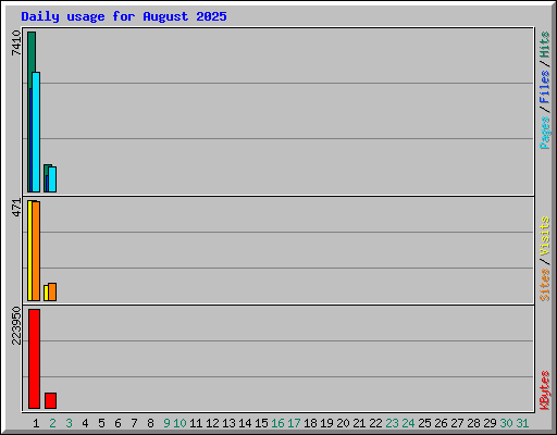 Daily usage for August 2025