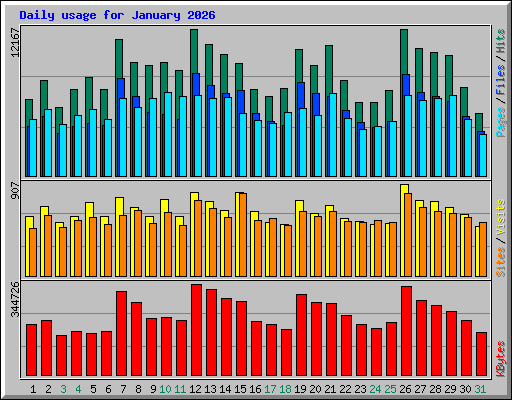 Daily usage for January 2026