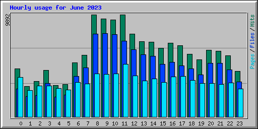 Hourly usage for June 2023