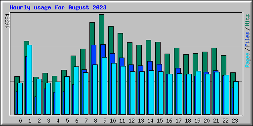 Hourly usage for August 2023