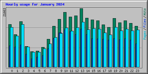 Hourly usage for January 2024