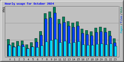 Hourly usage for October 2024