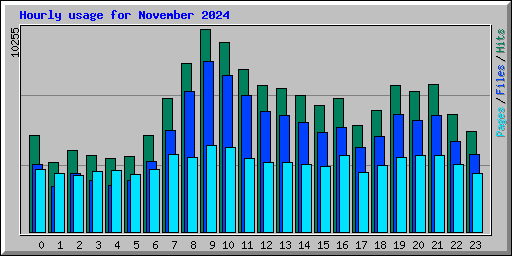 Hourly usage for November 2024