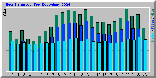 Hourly usage for December 2024