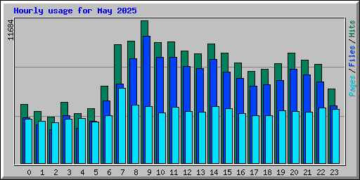 Hourly usage for May 2025
