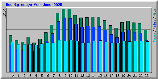 Hourly usage for June 2025