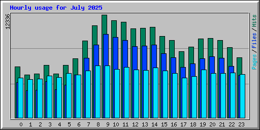 Hourly usage for July 2025