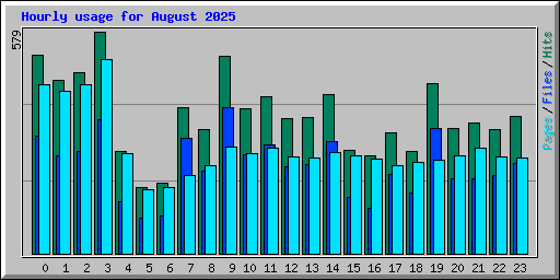 Hourly usage for August 2025
