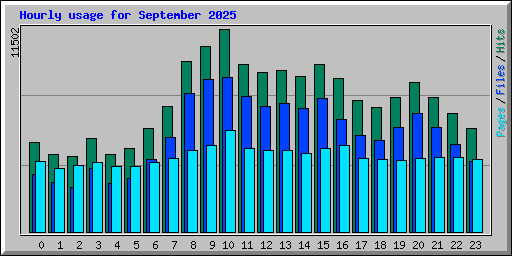 Hourly usage for September 2025
