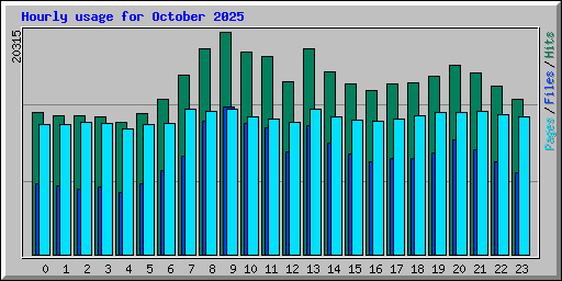 Hourly usage for October 2025