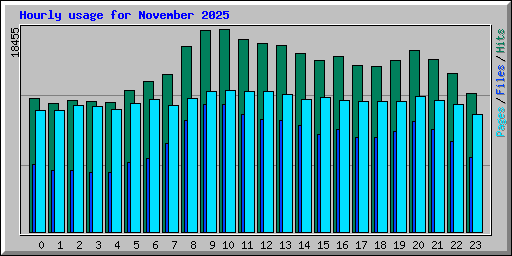 Hourly usage for November 2025