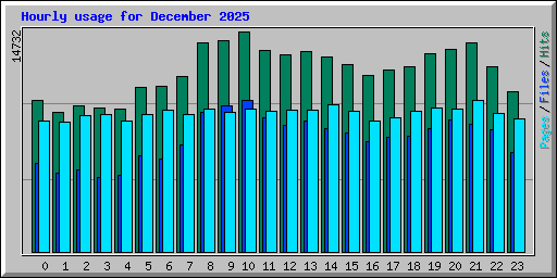 Hourly usage for December 2025