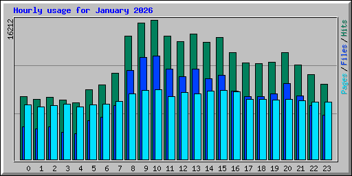 Hourly usage for January 2026