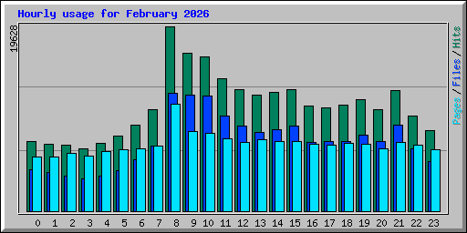 Hourly usage for February 2026