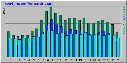 Hourly usage for March 2026