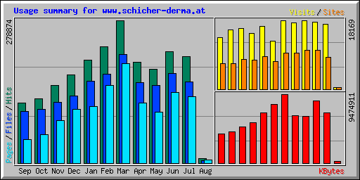 Usage summary for www.schicher-derma.at